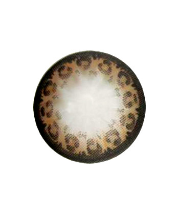 GEOLICA LEOPARD BROWN WFL-G24 BROWN COLOR LENS
